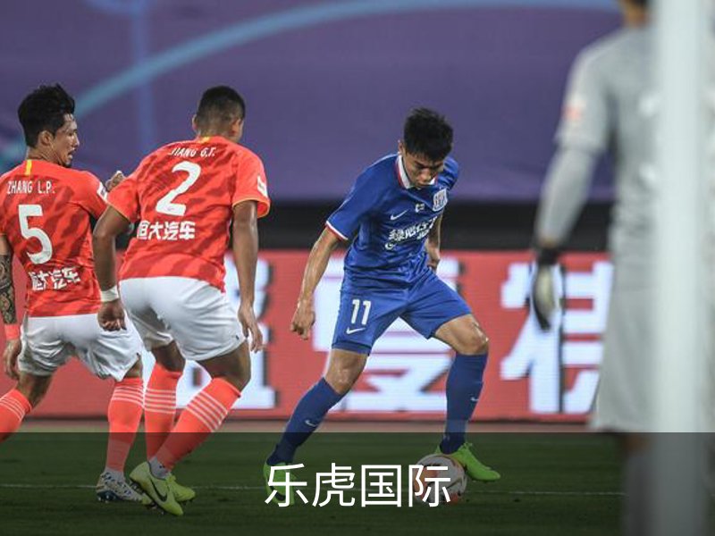 乐虎国际简介